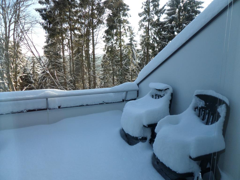 Terrassenhaus Winterberg Exterior photo